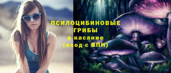 винт Белокуриха