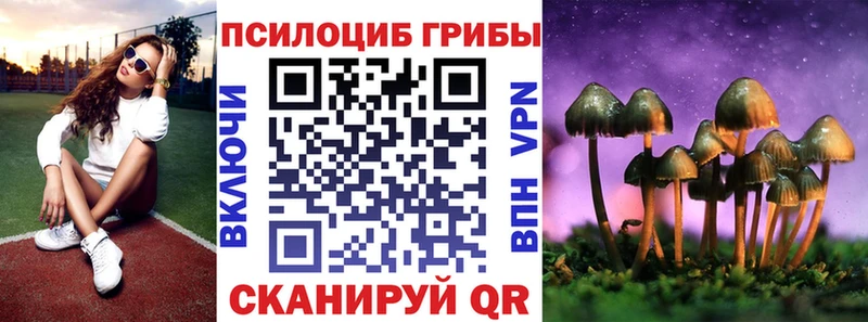 Псилоцибиновые грибы Magic Shrooms  OMG tor  Борзя 